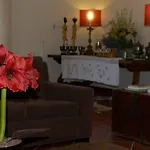 Casa Do Castanheiro Reboreda
