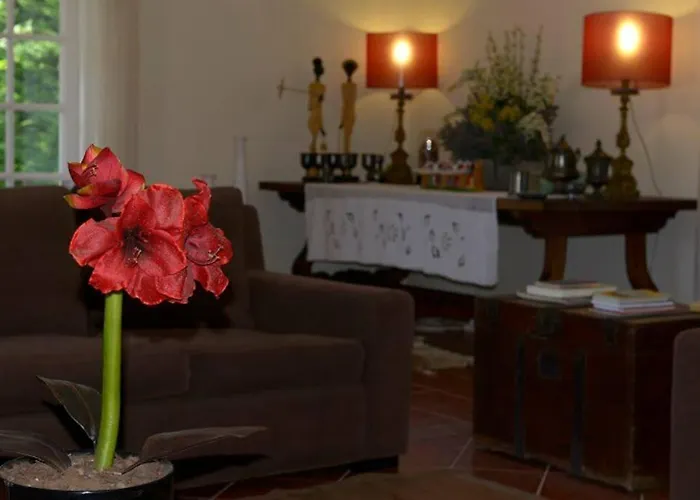 Casa Do Castanheiro Reboreda