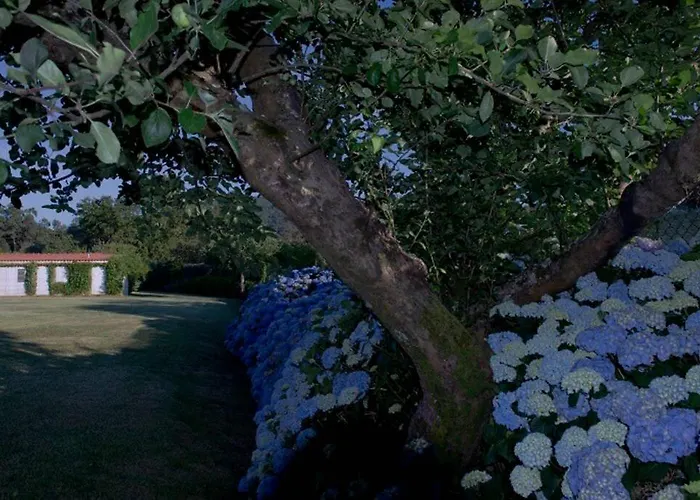 Casa Do Castanheiro Villa *